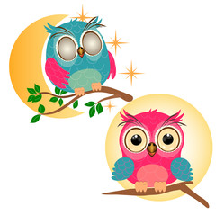 Two little owls on white background. Little owl sleep on the branch with green leaves. Baby owl on brown branch and yellow sun background