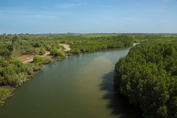 Fototapeta na wymiar A tributary of the River Gambia near Makasutu Forest in Gambia, Africa