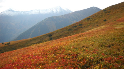 Tatry zachodnie jesienią