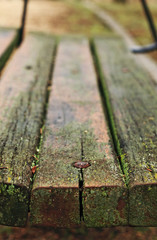 Fototapeta premium wooden bench in the park