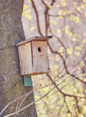 Birdhouse hanging on tree in Park