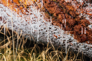 icicles hang on the surface of the rusty wall. The focus on the icicles
