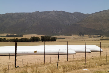 Swartland region of the Western Cape South Africa. December 2017. Long tube like storage plastic bags laying in a field of the wheatlands