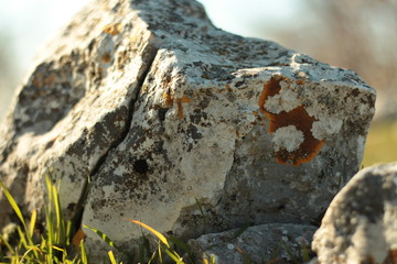 sasso