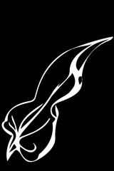 vector sketch field grass leaf