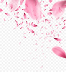 Pink sakura falling petals background. Vector illustration © vik_y