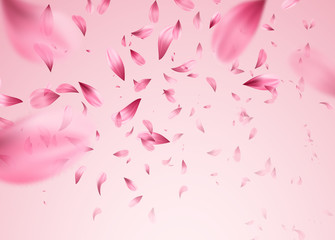 Pink sakura falling petals background. Vector illustration © vik_y
