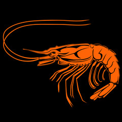 SHRIMP BLACK ORANGE LOGO
