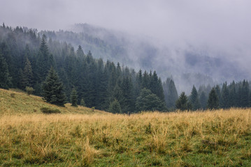 Mountain pass called Puchaczowka between Krowiarki and Snieznik Mountains in Sudetes, Poland