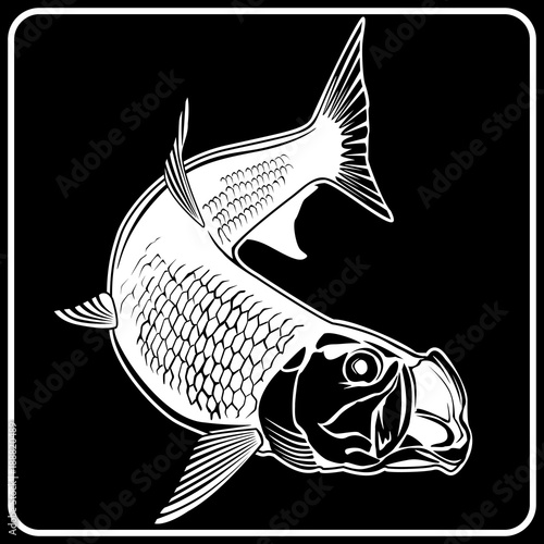 Tarpon Black Wall Mural Wallpaper Murals Wallsheaven Lioriki You wouldn't have fallen asleep in art history class if your teacher had only had access to our sweet collection of art wallpapers. tarpon black wall mural