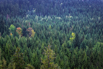 View from Bird Mount in Table Mountains in Sudetes, Poland