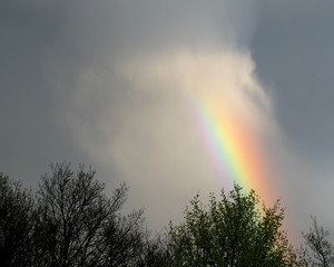 Fototapeta na wymiar Rainbow under stormy clouds