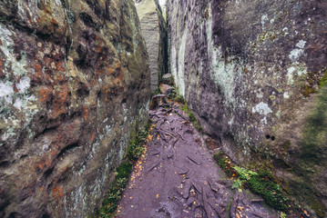 Szczeliniec Wielki in Table Mountains National Park, one of the biggest tourist attractions of the Polish Sudetes