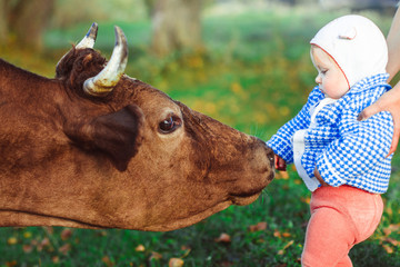 a child and a cow