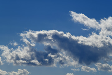 Fototapeta na wymiar 青空と雲「雲の風景」くねる、広がりを見せる、広がる、力を込めてなどのイメージ