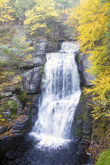 Fototapeta na wymiar Bushkill Falls in Bushkill, PA