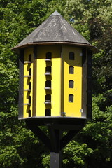 Gelbes Vogelhaus