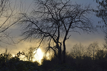 Obraz premium winterabend