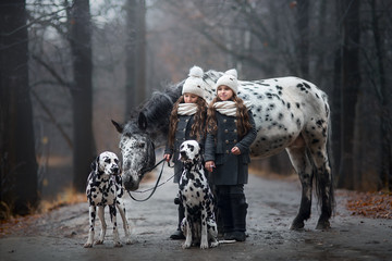 Twins girls portrait with Appaloosa horse and Dalmatian dogs 