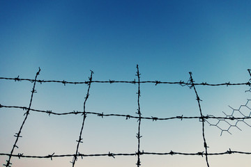 barbed wire
