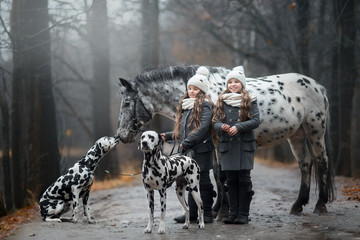 Twins girls portrait with Appaloosa horse and Dalmatian dogs 