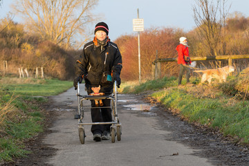 seniorin mit rollator auf einem weg