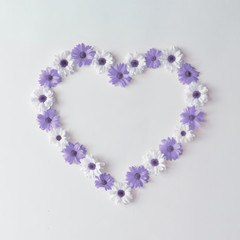 Heart shape made of violet and white daisies. Flat lay. Valentines concept.