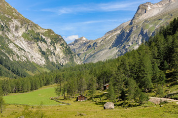 Fototapeta na wymiar Valley in the Austrian alps in summer on a sunny day