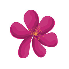 Obraz na płótnie Canvas cute flower decorative icons vector illustration design