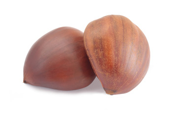 Chestnut isolated on white
