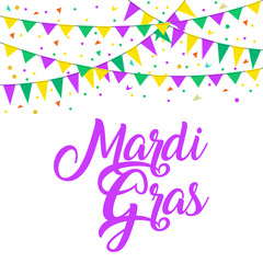 Carnival flags mardi gras