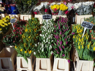 Vente de Tulipes aux marché (France)