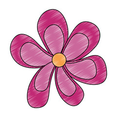 cute flower decorative icons vector illustration design