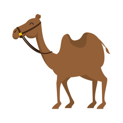 manger camel character icon vector illustration design