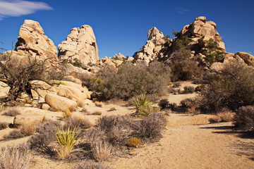 Landscape in Joshua Tree National Park in California in the USA
