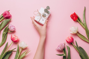 Female hand holding gift on a pink background with tulips. Flat lay and top view.