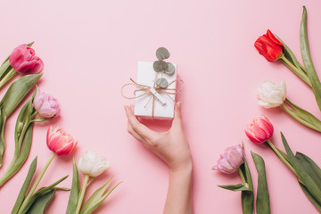 Female hand holding gift on a pink background with tulips. Flat lay and top view.