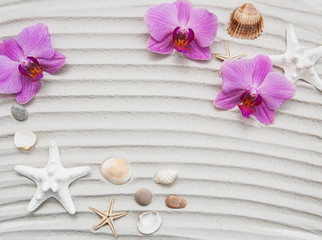 Seashells and starfish border