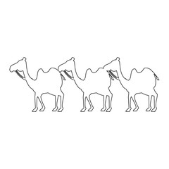 manger camels characters icon vector illustration design