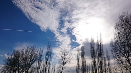  clouds and landscape