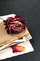 dried rose, old book and empty photograph as a romance metaphor. Copy space