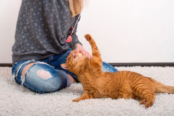 A woman plays with her redhead cat a toy mouse.