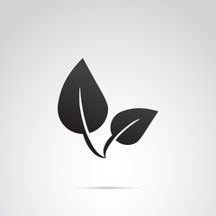 Leaf vector icon on white background.