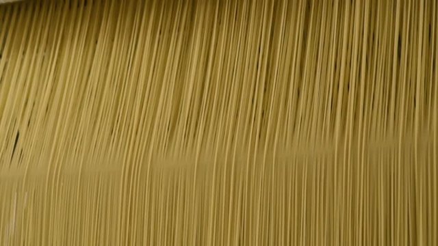 food production of pasta or noodle closeup