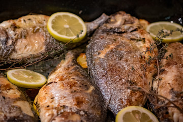 Forelle im Backrohr gebacken