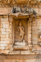Hanuman Langur Family on the wall of a Temple in Chittorgarh, Rajasthan