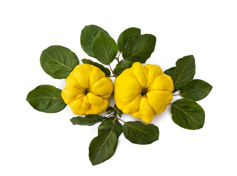 Ripe yellow juicy quince (Cydonia oblonga) with leaves on white background. Top view, flat lay.
