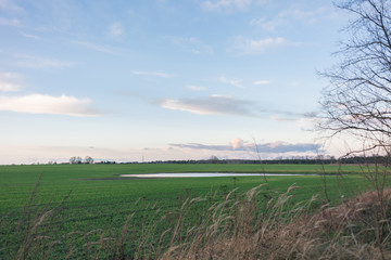Weite Landschaft Blauer Himmel über Horizont
