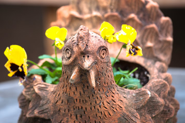 Potted Flowers