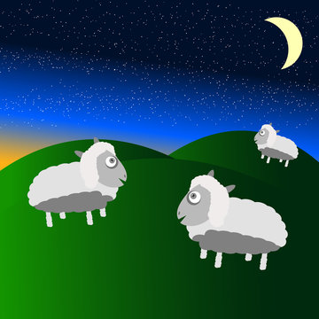 Three sheep stand on field and hill with sunset at night